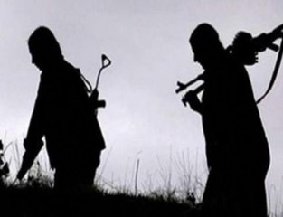 İkna çalışması sonucu 2 örgüt mensubu daha güvenlik güçlerine teslim oldu