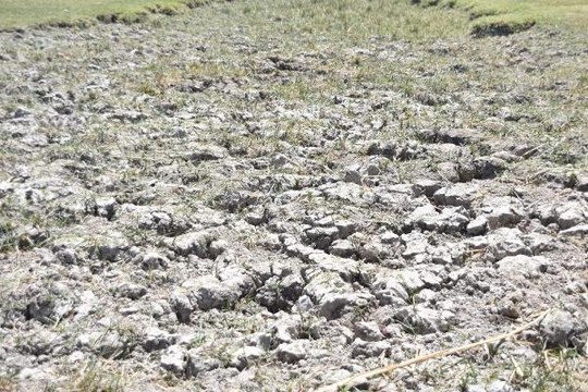 Son dakika haberi: KAYSERİ'DE KURAKLIK NEDENİYLE YAY GÖLÜ KURUDU