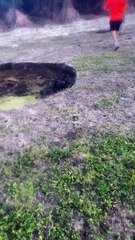 Good Samaritans Rescue Deer From Sinkhole