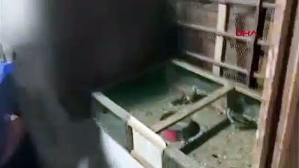 Beslenmesi yasak saka kuşu satıiına 120 bin lira ceza