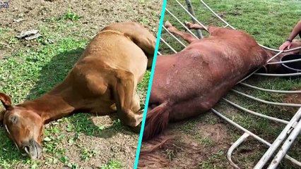 বজ্রপাতের কারনে যাদের ভাগ্য খুলে গেছে! People cured by lightning