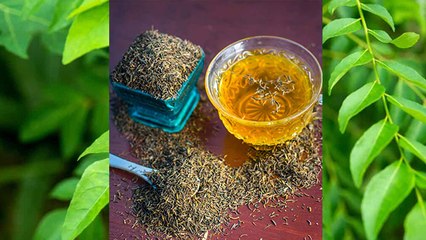 रोज सुबह खाली पेट जीरा और करी पत्ते का पानी पीने के जबरदस्त फायदे, पाएं चमत्कारी नतीजे । Boldsky