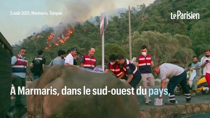 Turquie : des fermiers tentent  de sauver leurs animaux des incendies qui ravagent le pays