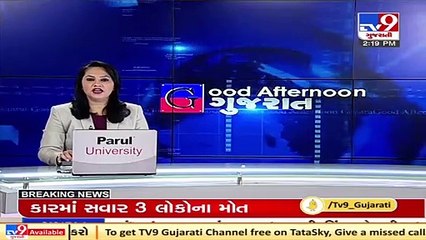 Over 5 Sandalwood trees chopped and stolen in Idar, Sabarkantha _ TV9News