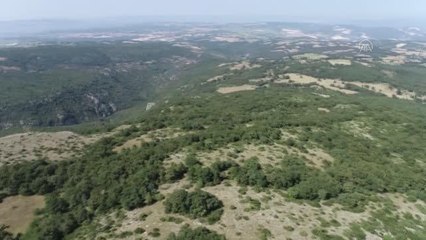 Son dakika haberleri... Bilecik'te ormanlık alanlar, yangın gözetleme kulelerinden 7/24 izleniyor