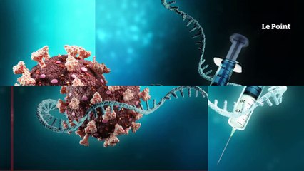 ARN messager : Sanofi investit largement et rachète Translate Bio