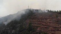 Son dakika gündem: Gündoğmuş ilçesindeki orman yangını (3)