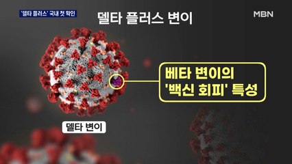 '델타 플러스 변이' 국내 2명 첫 확인…"델타 변이와 비슷"