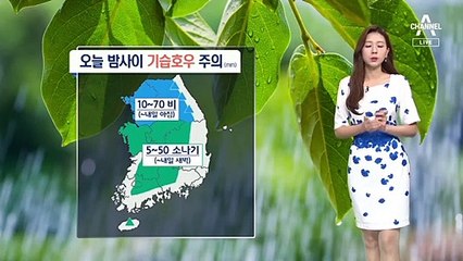 [날씨]내일 아침까지 강한 비…무더위 더 심해져