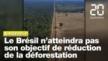 Amazonie : Objectif manqué pour le Brésil, la déforestation n’a pas diminué d’au moins 10 % l’année passée