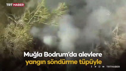 Alevlere yangın söndürme tüpüyle müdahale etti