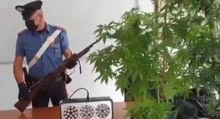 San Francesco Al Campo (TO) - Fucili e piante di marijuana: arrestato 26enne (03.08.21)