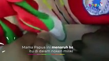 Uniknya Alam Papua, Bawa Babi Peliharaan Naik Pesawat