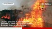 Sicilia, arrestati due piromani colti in flagranza di reato: volevano bruciare una riserva naturale