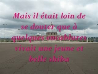 Montage junko shoggun