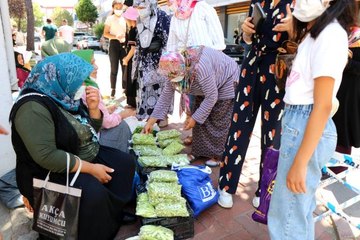 "Yeşil altın" olarak bilinen bamya, kilosu 30 liradan tezgahlara indi