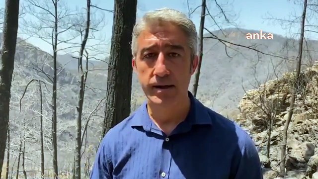 Marmaris Belediye Başkanı Mehmet Oktay: “Ciğerlerimiz yanmıyor, yok oluyor.
