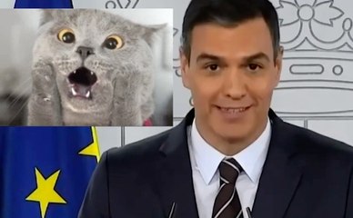 Pedro Sánchez: "¡Porque yo lo valgo!"