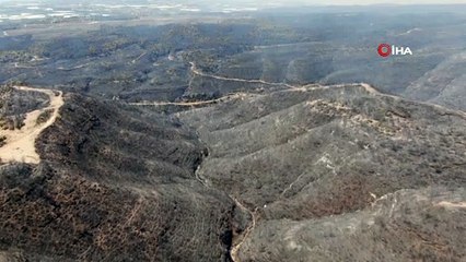Manavgat'ta yaralar sarılıyor... Orman yangınında söndürülen alanlar havadan görüntülendi