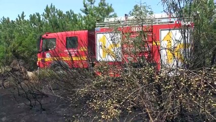 Ereğli’de tarlada çıkan yangın kısa sürede söndürüldü