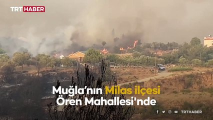 Milas'ta alevlerle mücadele sürüyor