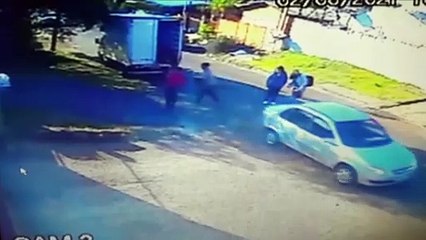 Atropelamento de animal: Delegado afirma que motorista que não prestar socorro pode ser autuado pelo crime de maus-tratos