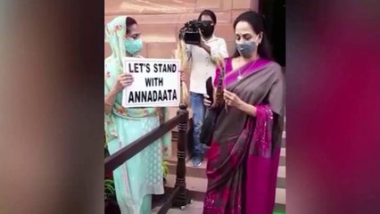 Harsimrat offers wheat strands to Hema, picture goes viral