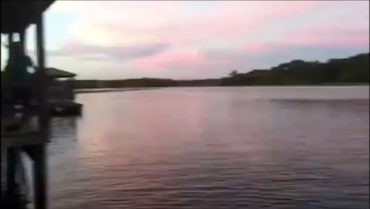 Ce chien fait la vidange après une petite baignade