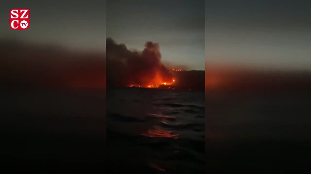 Milas Belediye Başkanı: Durum çok ciddi, gerekirse gece görüşlü uçak yollayın