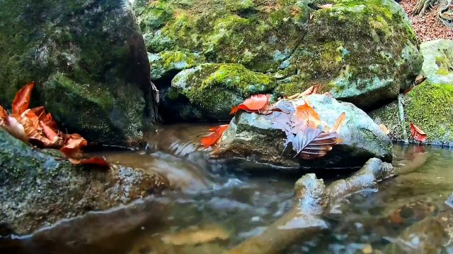 Beautiful relaxing music _ calming music, meditation music, yoga music, spa, zen music, nature water