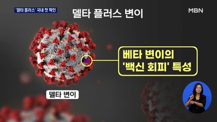 '델타 플러스 변이' 국내 2명 첫 확인…"델타 변이와 비슷"