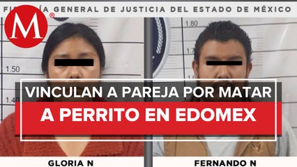 Dictan prisión preventiva a pareja _mata perros_