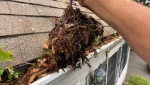 How gutters are professionally deep cleaned