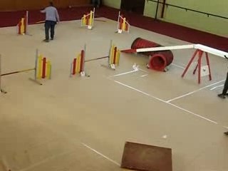 Suzy r'elle degrès 240208