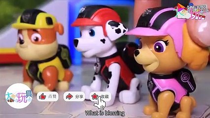 The Wang Wang team changed to a new vehicle, and team members couldn’t wait to test their new car