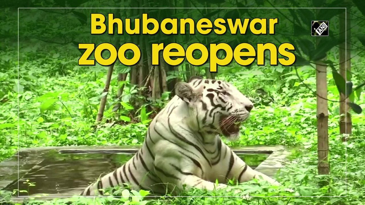 Bhubaneswar zoo reopens
