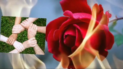 Vital Whales Music, Mind Refreshing Music, Postive Energy Music