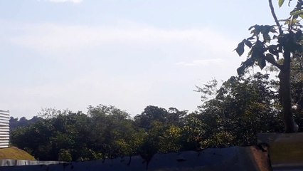 Airbus A320 PR-MYT na aproximação final antes de pousar em Manaus vindo de Guarulhos (03/08/2021)