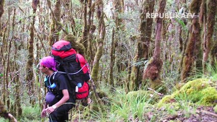 Petualang dan Berawal dari Satu Tenda (2)