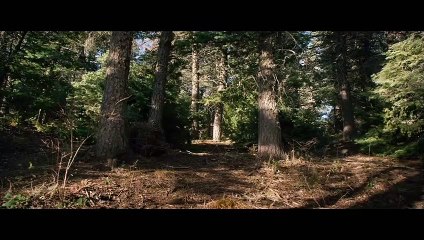 DU SANG ET DES LARMES Film (2013) - Avec Mark Wahlberg, Taylor Kitsch, Emile Hirsch