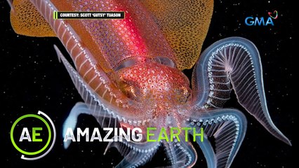Amazing Earth: What is blackwater diving?