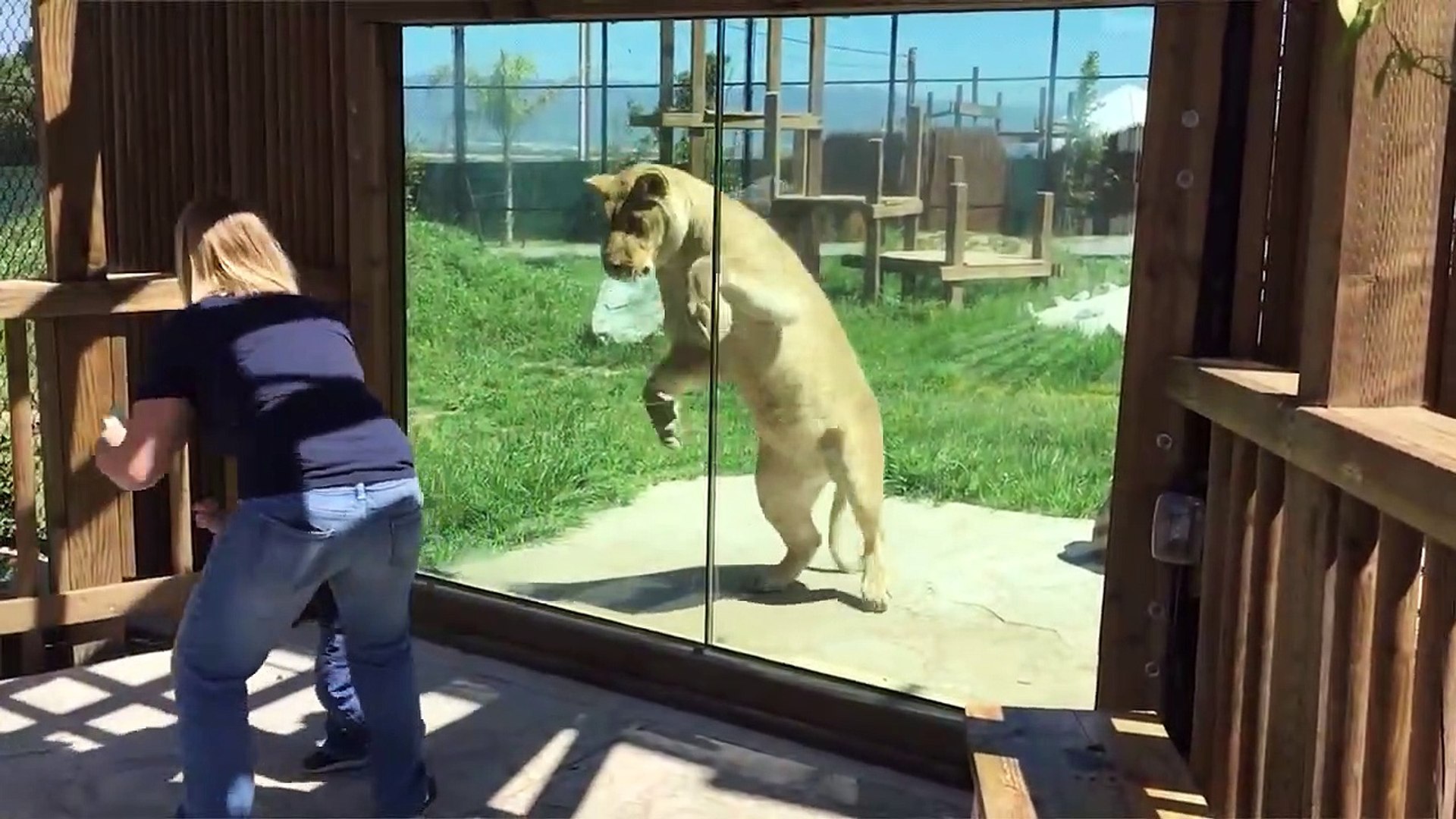 ⁣Ultimate Cute Pets vs. Epic Kids Fails Compilation Funny Pet Videos