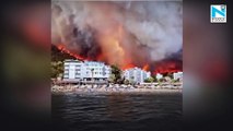 Turkey Wildfires death count rises , Coastal resorts affected