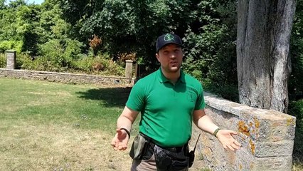 Reptilians Among Us - The Report