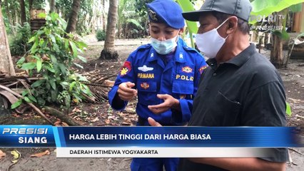 Polda DIY Beli Beras Langsung ke Petani