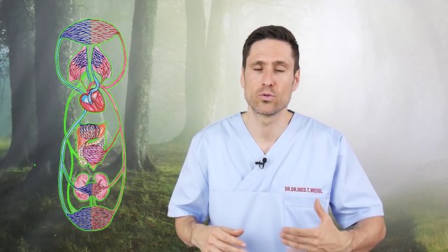 Kaffee und Koffein Gesund oder eher schädlich Ab wann ist es zuviel und worauf sollte Jeder achten