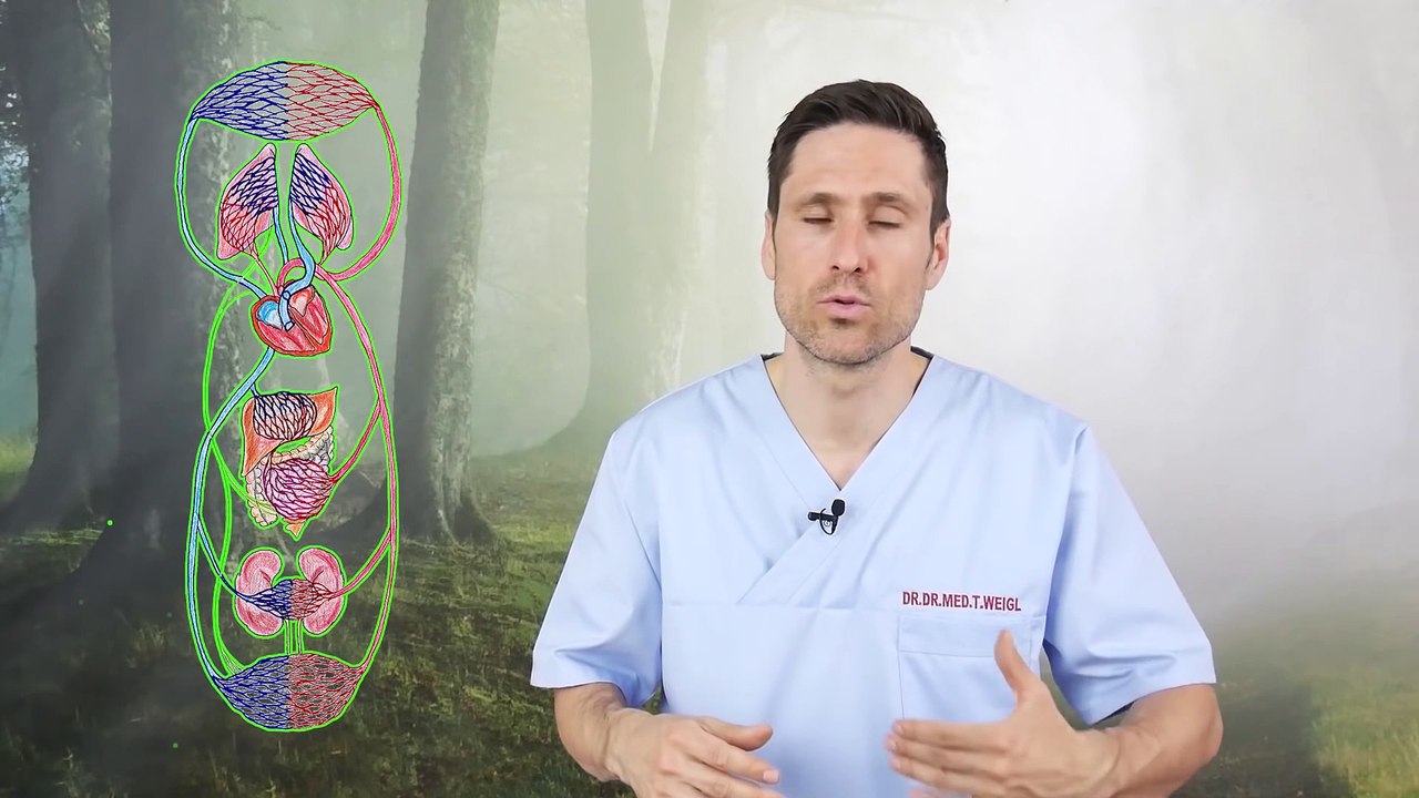 Kaffee und  Koffein  Gesund oder eher schädlich Ab wann ist es zuviel und worauf sollte Jeder achten