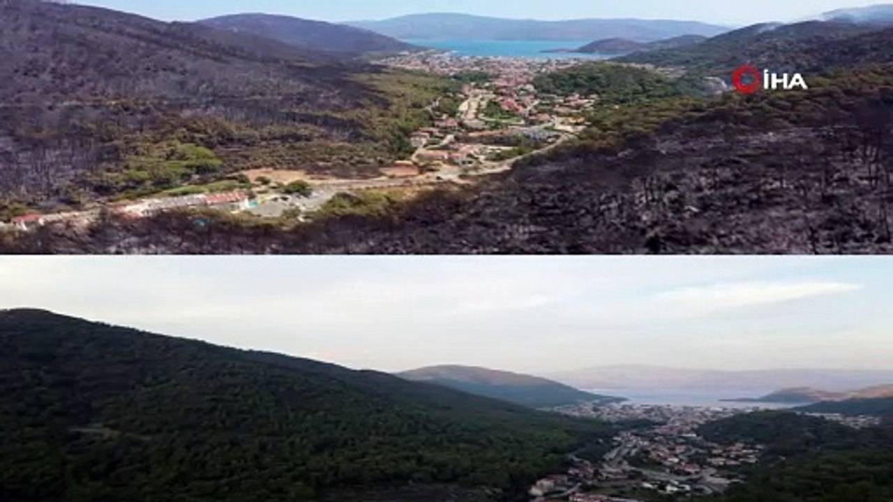 Marmaris'in İçmeler Mahallesi'nin yangından önceki ve sonraki hali