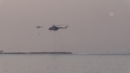 Milas ve Bodrum'daki orman yangınlarına havadan ve karadan müdahale sürüyor (2)