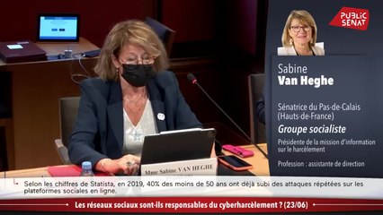 Cyberharcèlement : les réseaux sociaux dans le viseur - En séance (17/07/2021)